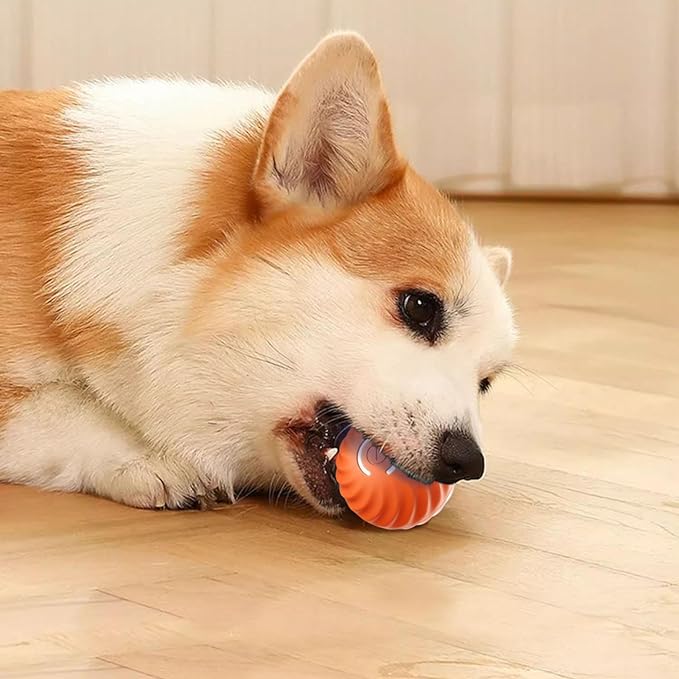 Pelota Automática Inteligente Para Perros y Gatos Que No Puede Ser Mordida🐶