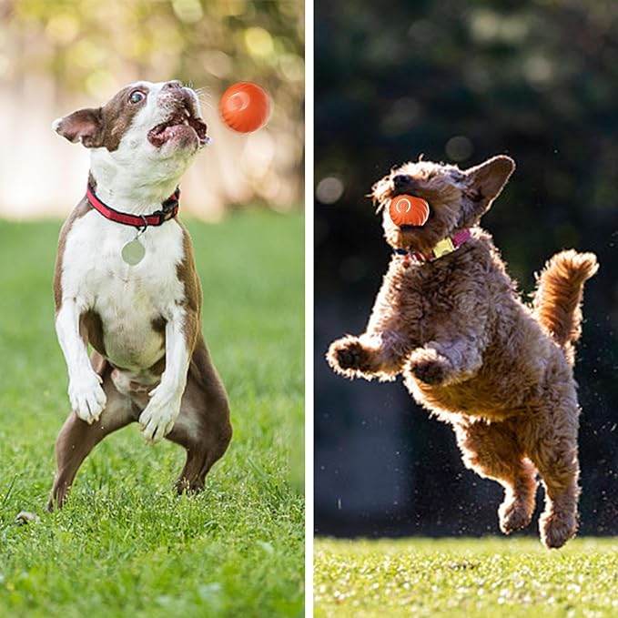 Pelota Automática Inteligente Para Perros y Gatos Que No Puede Ser Mordida🐶