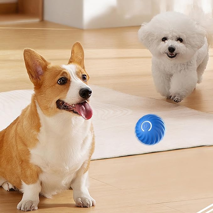 Pelota Automática Inteligente Para Perros y Gatos Que No Puede Ser Mordida🐶